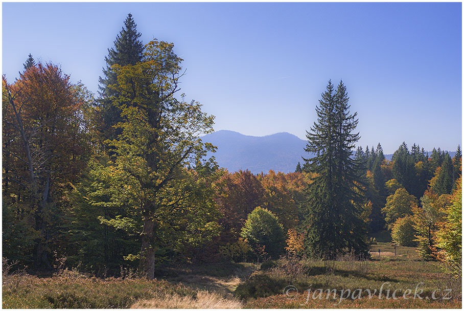 Pastviny Lindberger Schachten (1100 m), v pozadí Velký Roklan (1453 m), Malý Roklan (1399 m) 