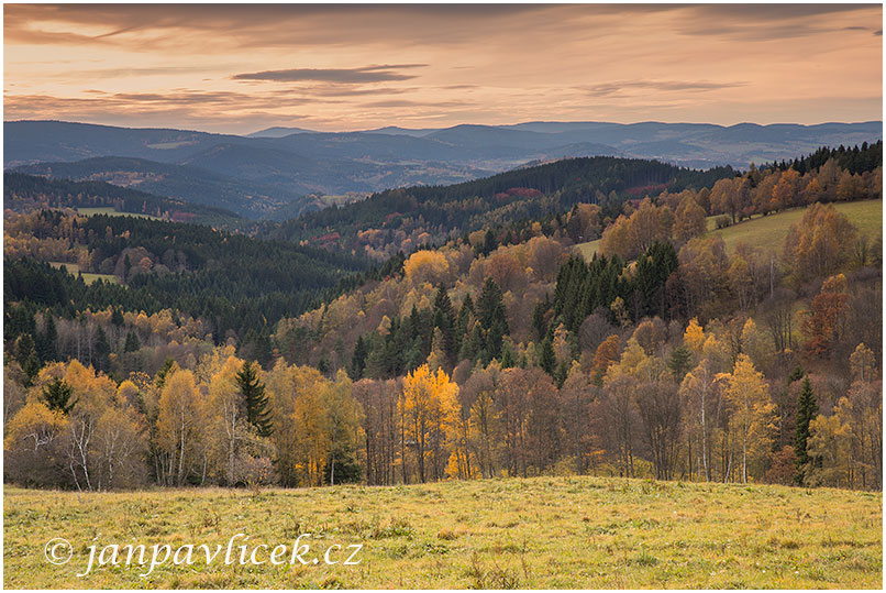 Údolí Zlatého potoka, Šumava