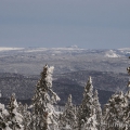 Boubin, 1362 m....Z pohled, uprostřed Velký Javor, 1456 m | fotografie