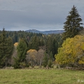 KNIŽECÍ PLÁNĚ, NA HORIZONTU  VRCHOL  LUZNÉHO, 1373 m | fotografie