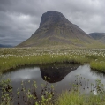 Krajina  ve Westfjords | fotografie