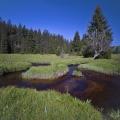 MEANDR KŘEMELNÉ | fotografie