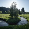 MEANDR KŘEMELNE | fotografie