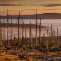 Plechý (1378 m) - svítání nad vltavskou brázdou Lipna... | fotografie