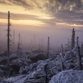 Plechý (1378m) - svítání | fotografie