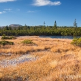 Rokytske slatě, vzadu Velký Roklan (1453 m), Malý Roklan... | fotografie