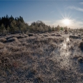 SOUMARSKÉ  RAŠELINIŠTĚ | fotografie