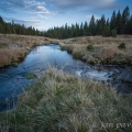 Soutok Roklanského potoka s Rokytkou, podvečer | fotografie