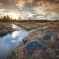 Soutok Roklanského potoka s Rokytkou, podvečer | fotografie