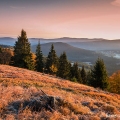 Svítání z Jezerního hřbetu, uprostřed Spálený (1013 m) | fotografie