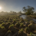 Teplá Vltava u Soumarského rašeliniště | fotografie