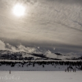 Údolí Lamar,  Yellowstone NP | fotografie