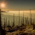 Východ slunce z Velkého Roklanu (1453 m), vlevo Blatný... | fotografie