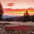 Zhůří, vlevo hřeben Popelné hory/Ascheberg | fotografie